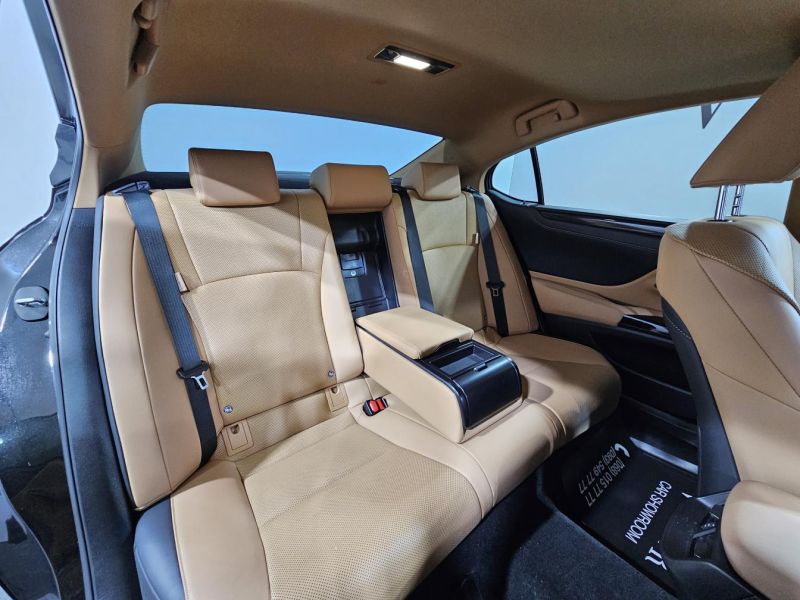 Buy 2022 Lexus  ES  200 DPO-1008052 in USA, UAE, EUROPE, MONACO, UKRAINE, photo 6
