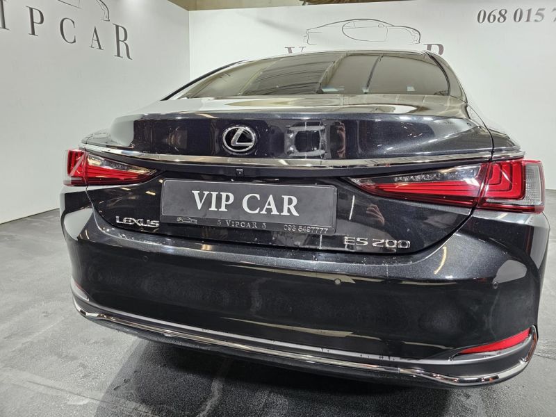 Buy 2022 Lexus  ES  200 DPO-1008052 in USA, UAE, EUROPE, MONACO, UKRAINE, photo 10