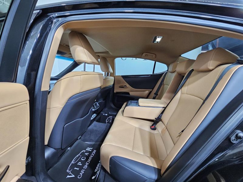 Buy 2022 Lexus  ES  200 DPO-1008052 in USA, UAE, EUROPE, MONACO, UKRAINE, photo 11