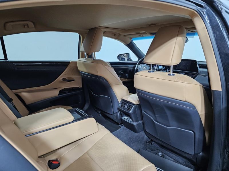 Buy 2022 Lexus  ES  200 DPO-1008052 in USA, UAE, EUROPE, MONACO, UKRAINE, photo 13