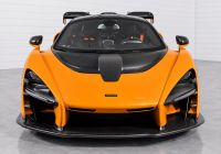 2019 McLaren  Senna DPO-1008980